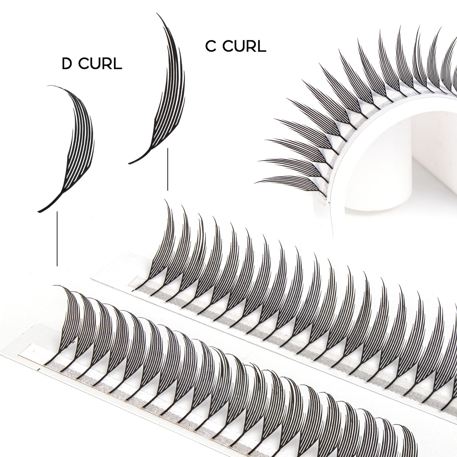 Befer Beauty Anime Lashes 240  - مراجعة Eyelash Extension Cat Eye وسعره