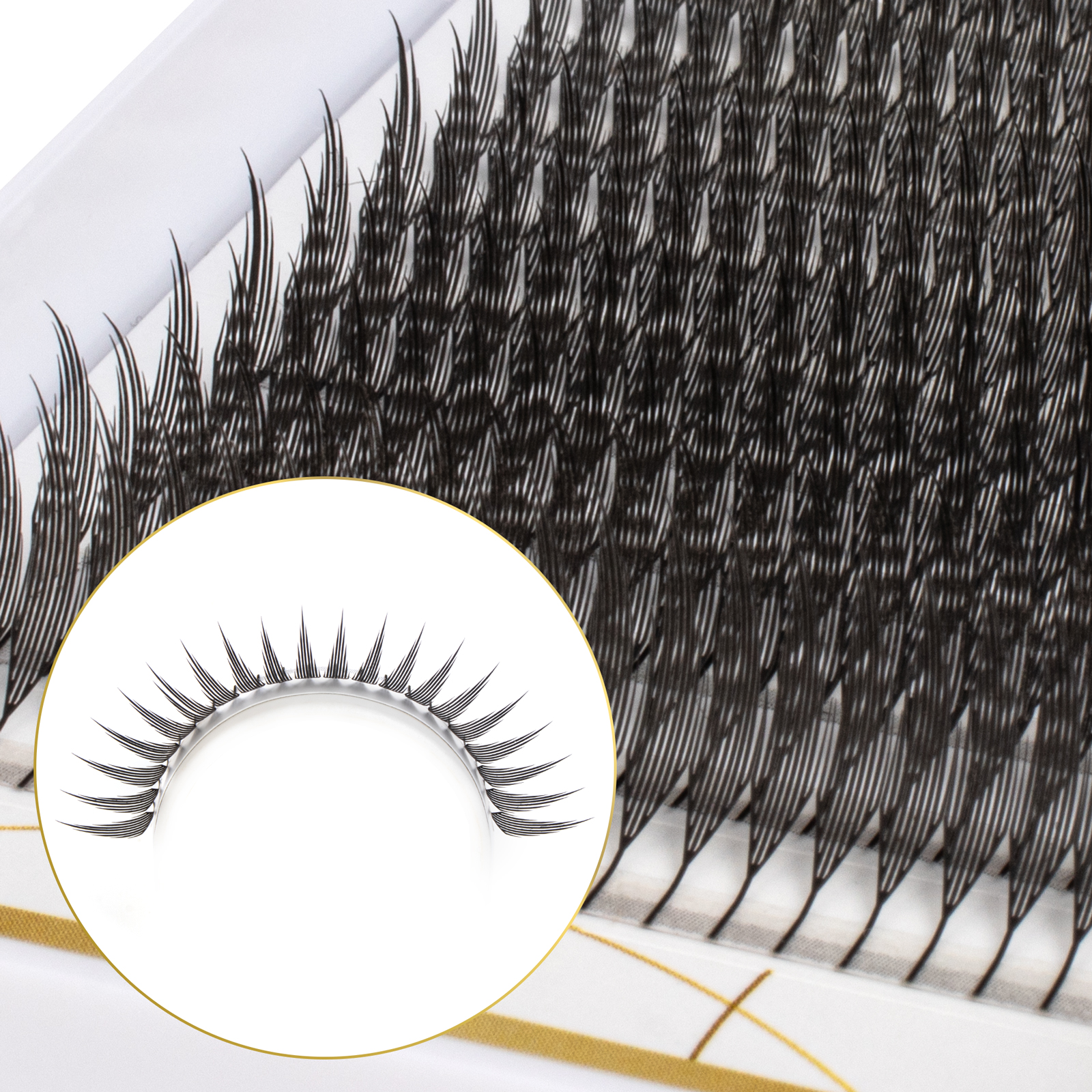 Befer Beauty Anime Lashes 240  - مراجعة Eyelash Extension Cat Eye وسعره