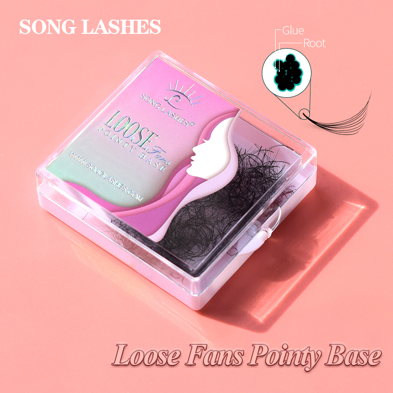 Song lashes Promade Fans 3D-10 - مراجعة Eyelash Extension Course وسعره