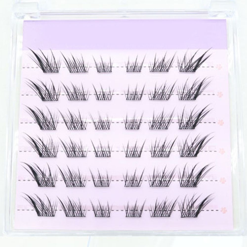 New 3D Cat Eye Self Adhesive L - مراجعة Eyelash Extension Cat Eye وسعره