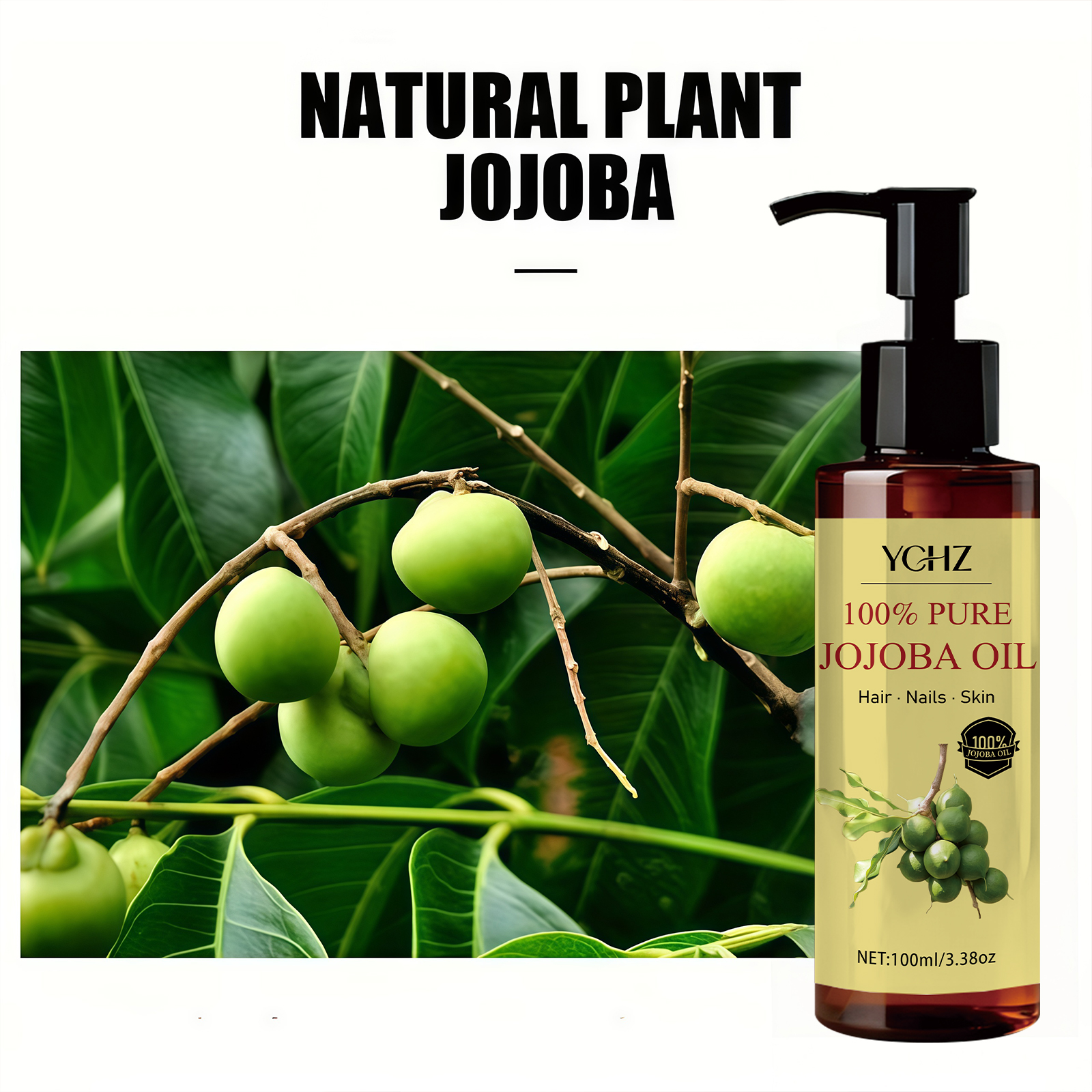 Jojoba Oil—Pure Natural Skin C - مراجعة Eyelash Extension Human Hair وسعره