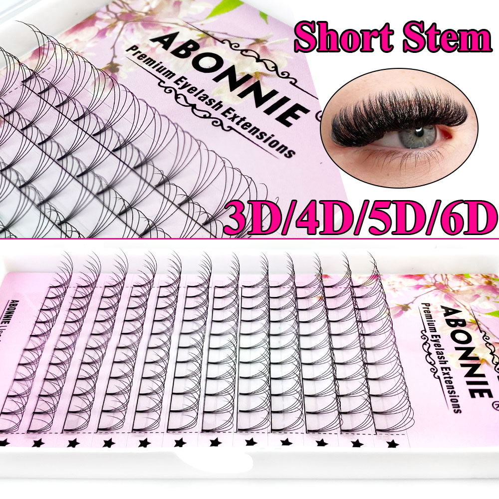 Abonnie 6D Narrow Fan Premade  - مراجعة Eyelash Extension Course وسعره