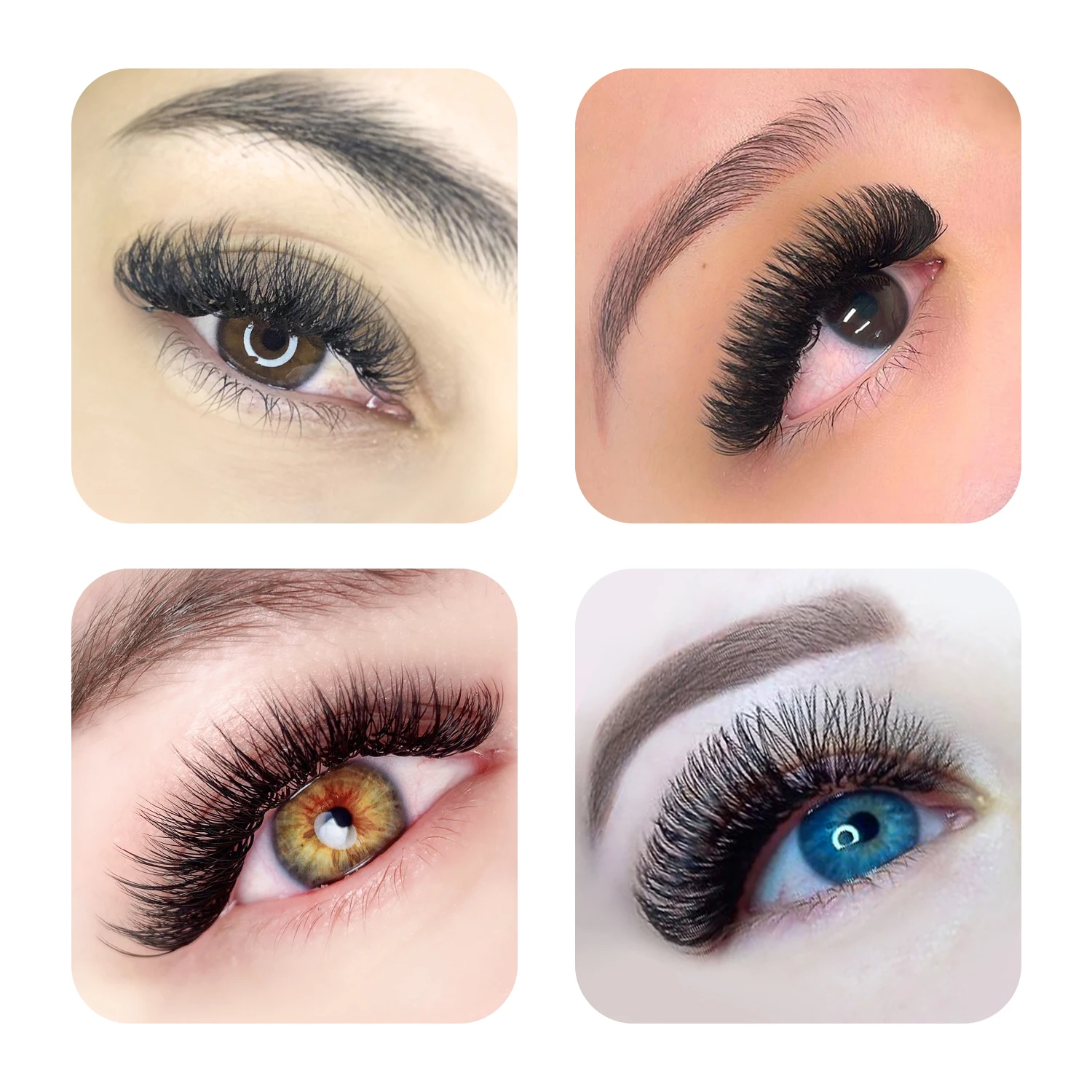GLAMLASH 16Rows Faux mink soft - مراجعة Faux Mink Lash وسعره