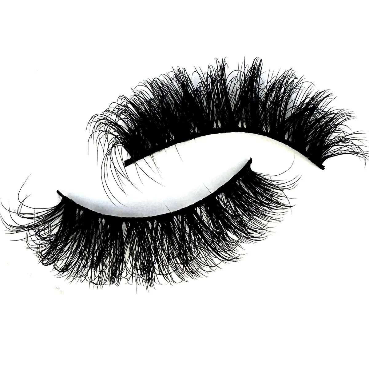 NEW 10 Pairs Cat Eye Lashes Fl - مراجعة Eyelash Extension Cat Eye وسعره