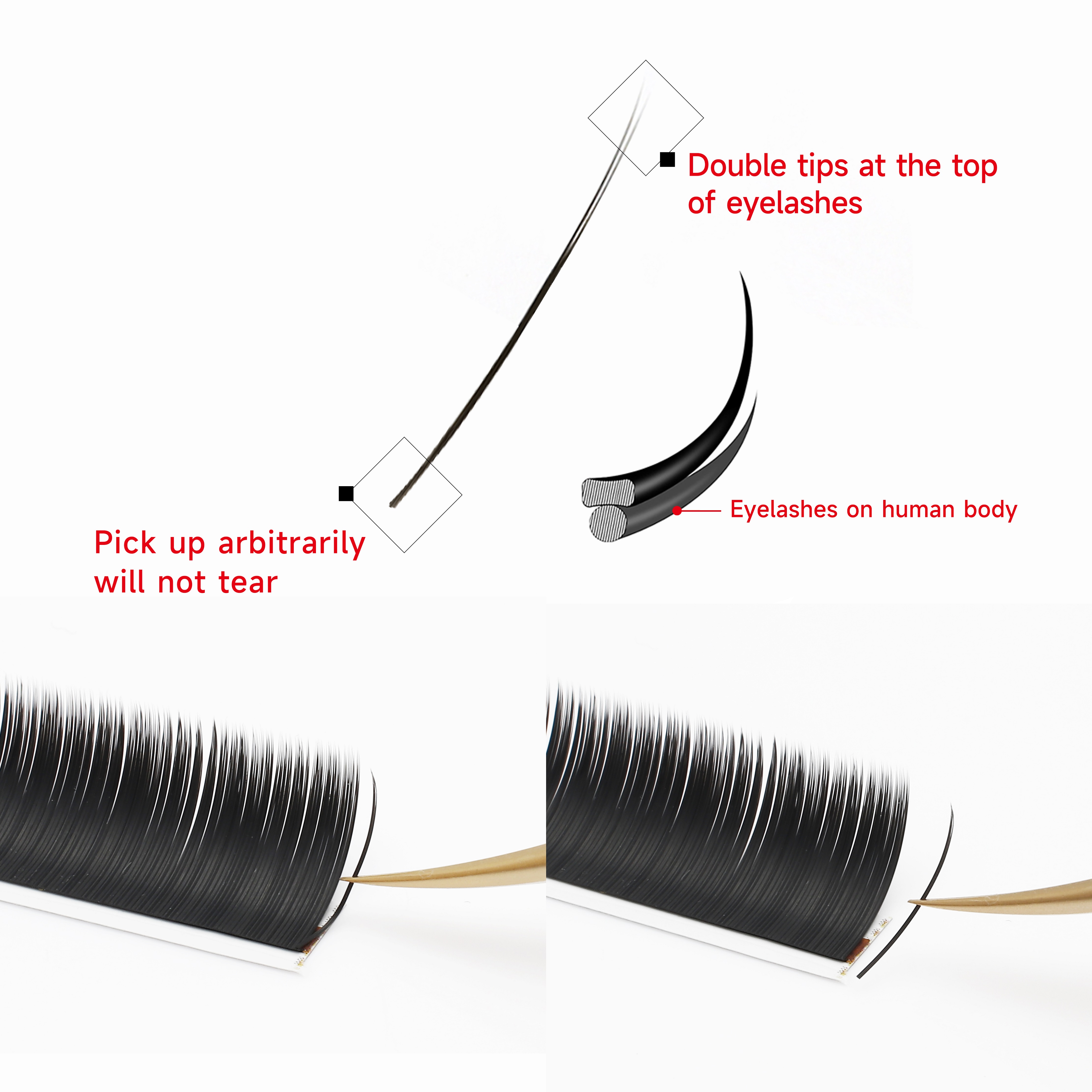 XIUSUZAKI Flat Ellipse Eyelash - مراجعة Eyelash Extension Human Hair وسعره