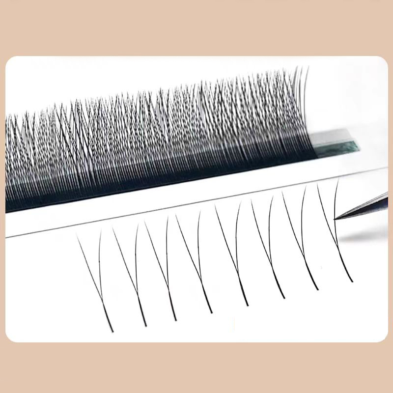 MARIA 2D Y Shape Eyelashes Han - مراجعة Eyelash Extension Human Hair وسعره