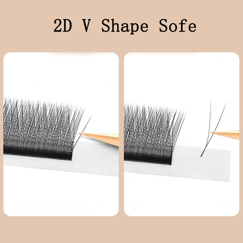 MARIA 2D Y Shape Eyelashes Han - مراجعة Eyelash Extension Human Hair وسعره