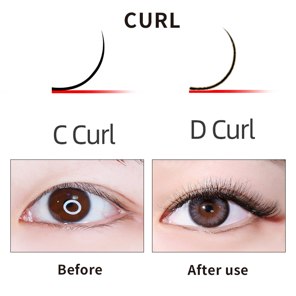 LAGEE 3D 4D 5D 6D W Shape Eyel - مراجعة Eyelash Extension Course وسعره